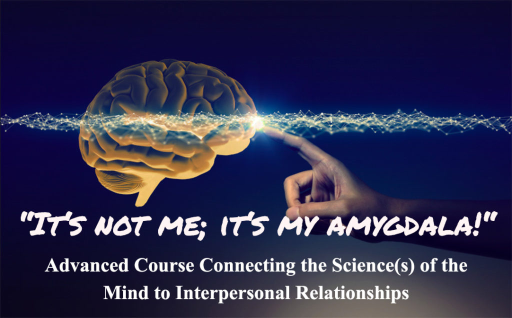 brain neuroscience, amygdala, course